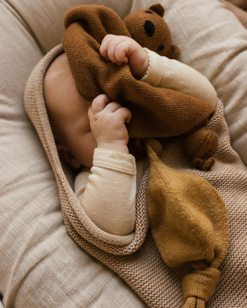 Teddy Tokki, mocha