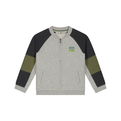 Baumwolle Sweatjacke im Colourblock-Design in Light Grey Melee, Vorderansicht