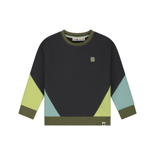 Baumwolle Sweatshirt im Colourblock-Design in Antra, Vorderansicht