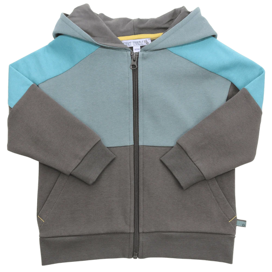 Enfant Terrible Kapuzen-Sweatjacke mit Colourblocking in moss-pistachio, bei Bärechind