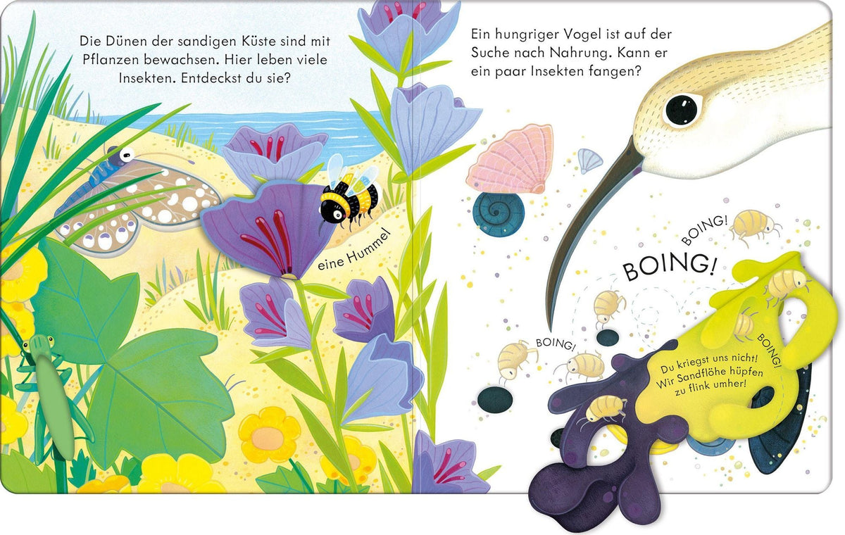 Innenseite mit Klappen und Küstenpflanzen