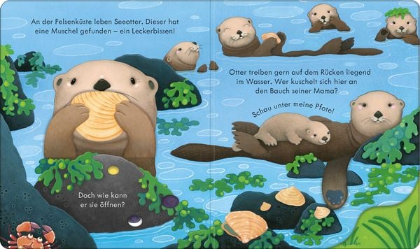 Detailseite mit Napfschnecken, Pelikanen und Meerestieren