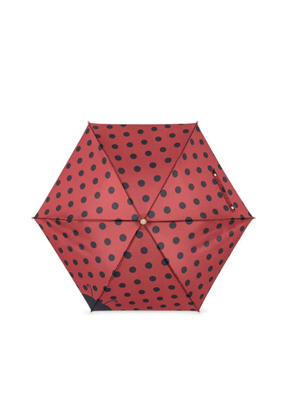 Marienkäfer-Regenschirm zusammengefaltet mit auffälligem Punktemuster