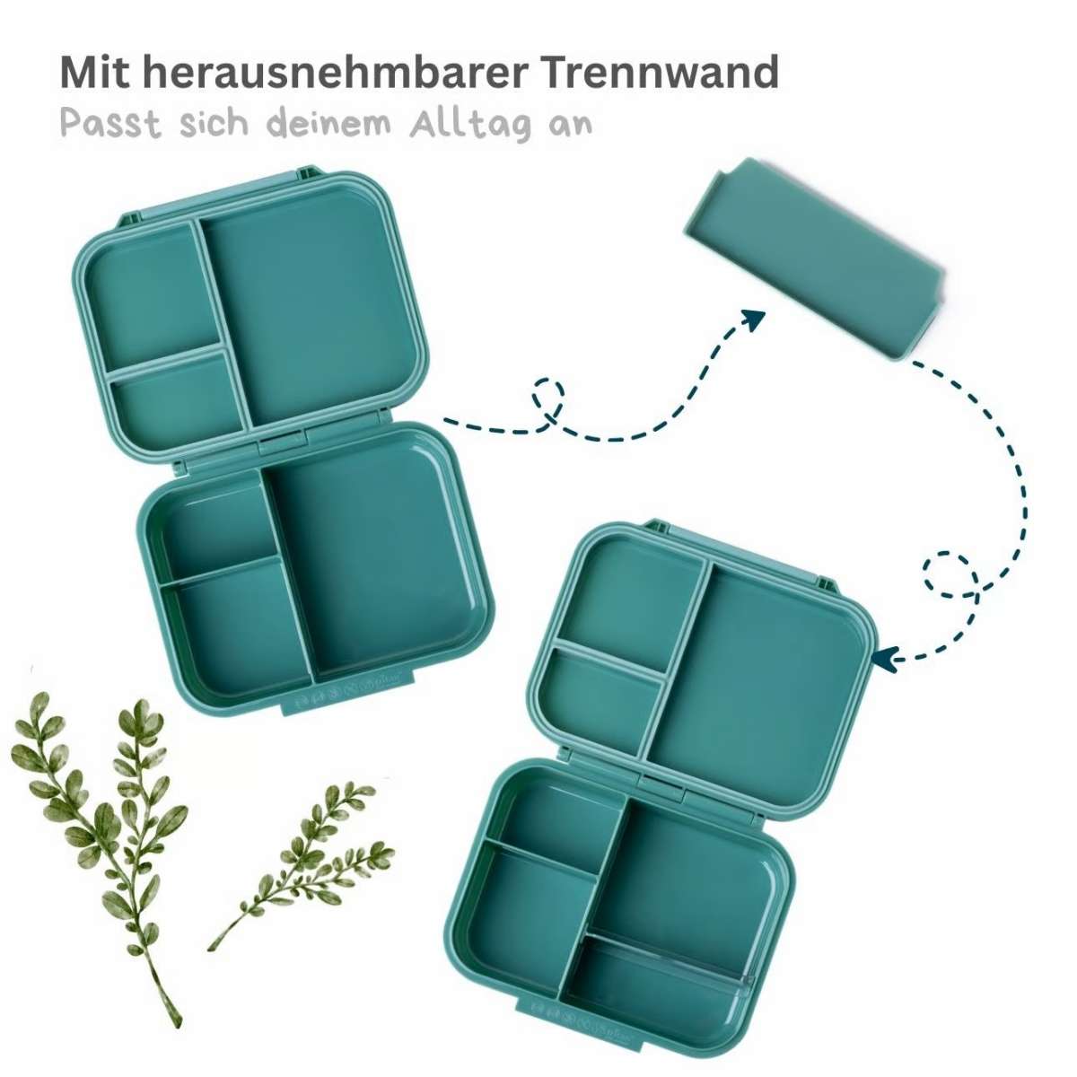 Offene Lekkabox Znünibox aus Titan in Foresta mit Snacks, im Bärechind Winterthur, Zürich Schweiz.