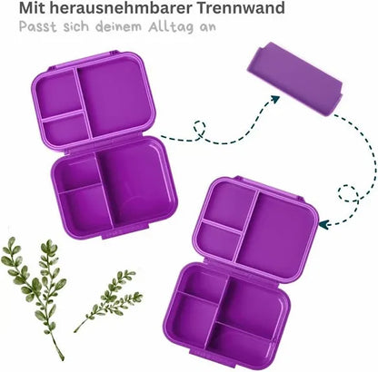 Lekkabox Znünibox Lilac mit herausnehmbarer Trennwand, Titan, erhältlich im Bärechind in Winterthur, Zürich Schweiz.
