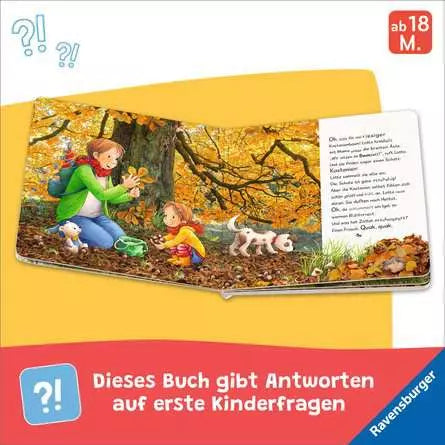 Innenseite mit Lotta beim Drachensteigen im Herbstwind