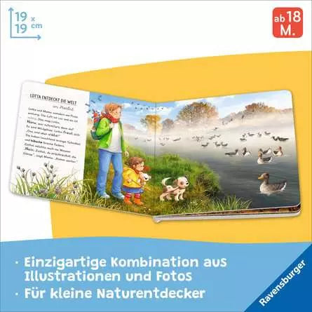 Seite mit Kastaniensammeln und Pilzen im Wald