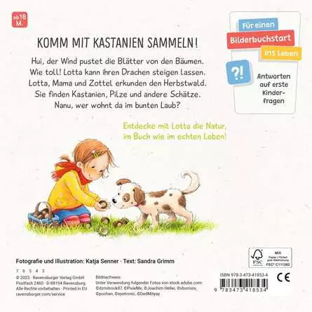 Rückseite des Buchs mit Produktbeschreibung und Details