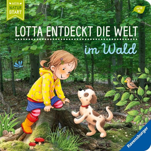 Lotta entdeckt die Welt im Wald, Pappbilderbuch von Ravensburger bei Bärechind