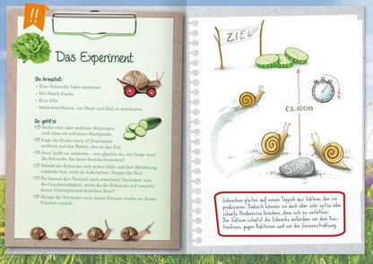 Innenseite mit Naturexperimenten für Kindergartenkinder