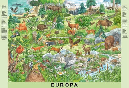 Einblick in das Buch Mein grosses Wimmelbuch Tiere der Welt von Anne Suess