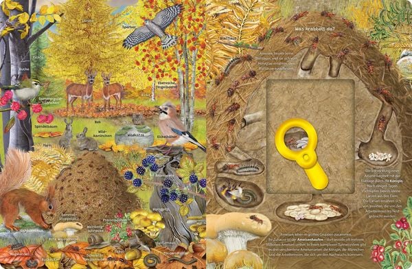 Wimmelseite mit Igel und Herbstlaub zum Entdecken mit der Schiebe-Lupe