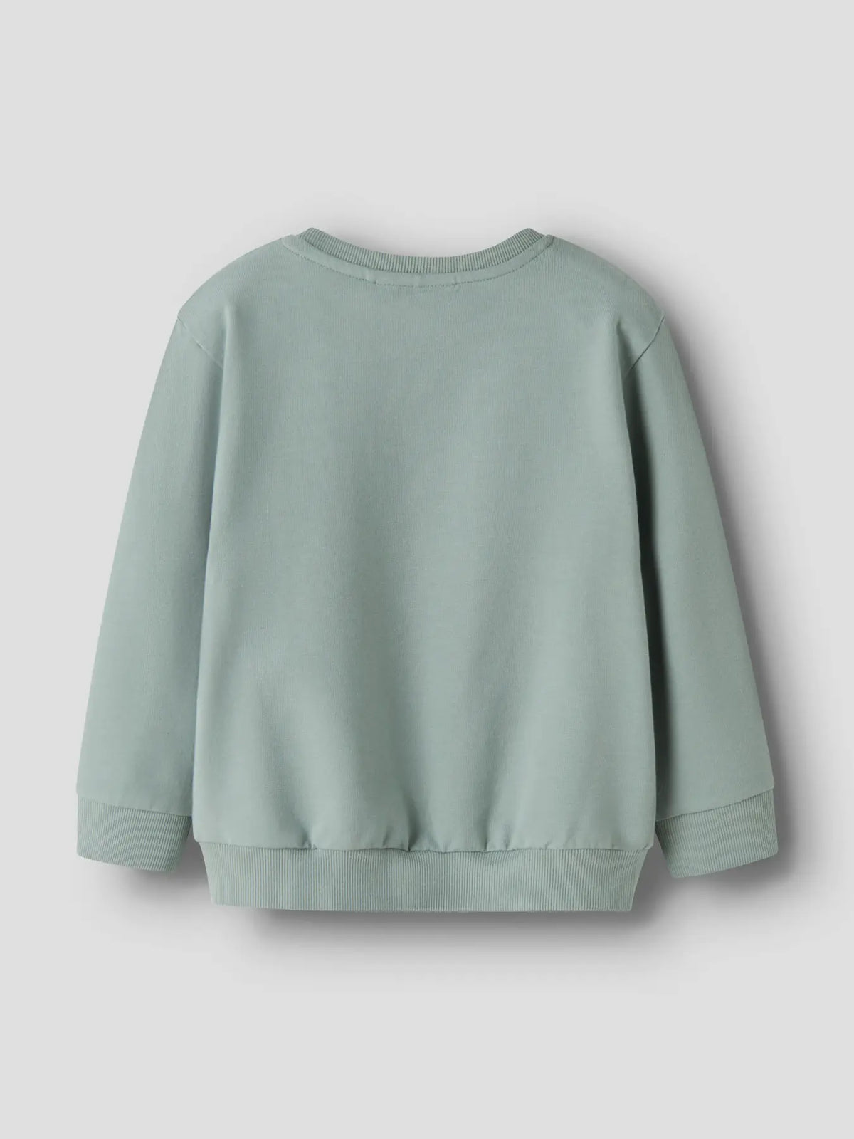 Rückansicht des NAME IT Sweatshirts in Desert Sage mit bequemer Passform.