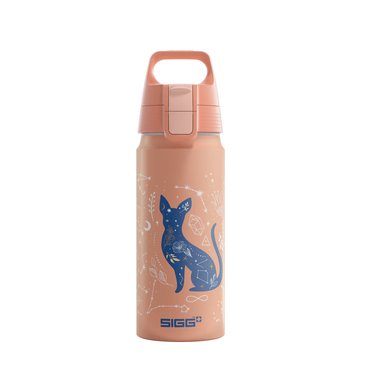Sigg Aluminium Trinkflasche 0.6 Liter mit Katze und Universum Motiv im Bärechind Winterthur Zürich Schweiz