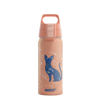 Sigg Aluminium Trinkflasche 0.6 Liter mit Katze und Universum Motiv im Bärechind Winterthur Zürich Schweiz