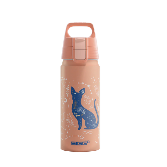 Sigg Aluminium Trinkflasche 0.6 Liter mit Katze und Universum Motiv im Bärechind Winterthur Zürich Schweiz