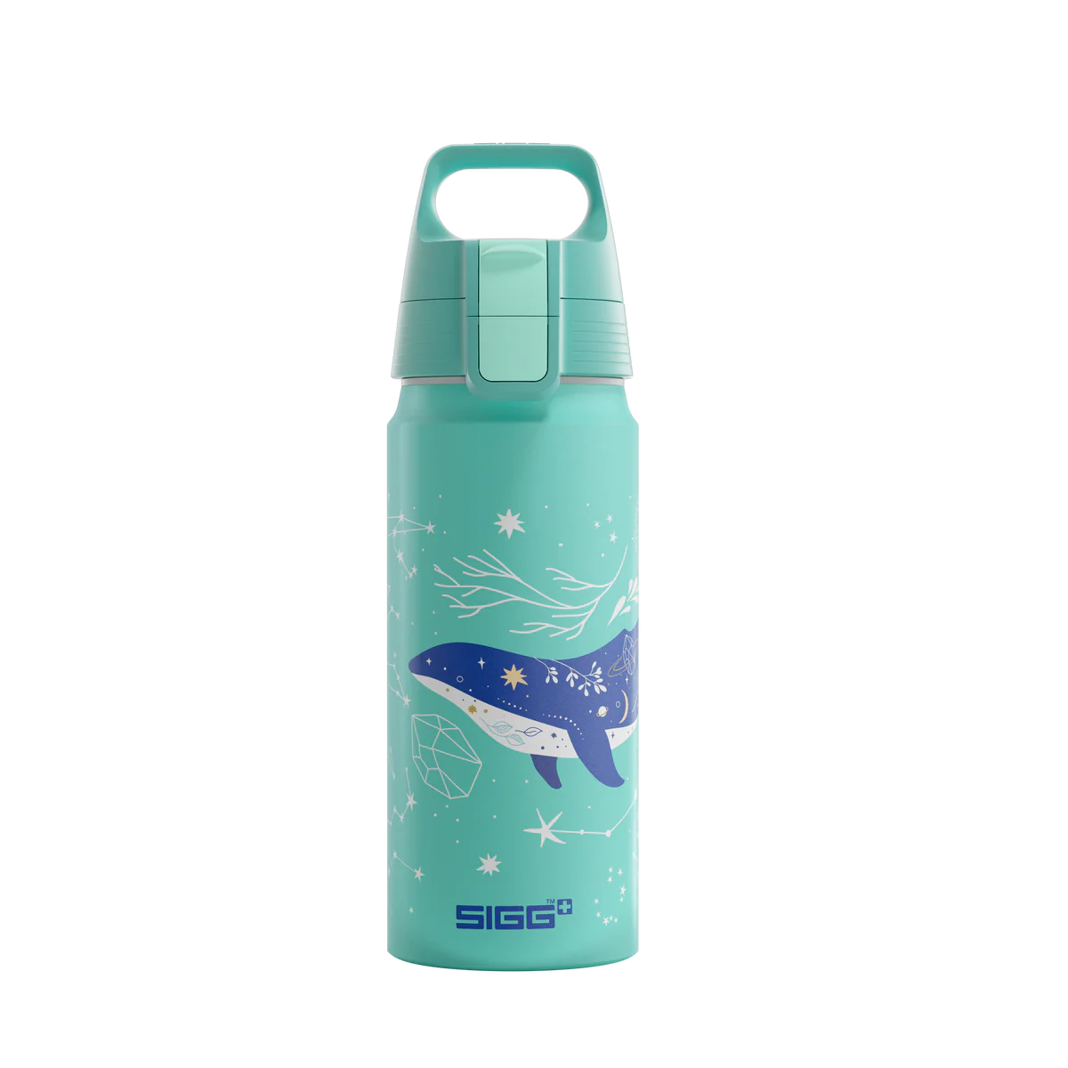 Sigg Aluminium Trinkflasche 0.6 Liter mit Wal Motiv und Meereswelt Print im Bärechind Winterthur Zürich Schweiz