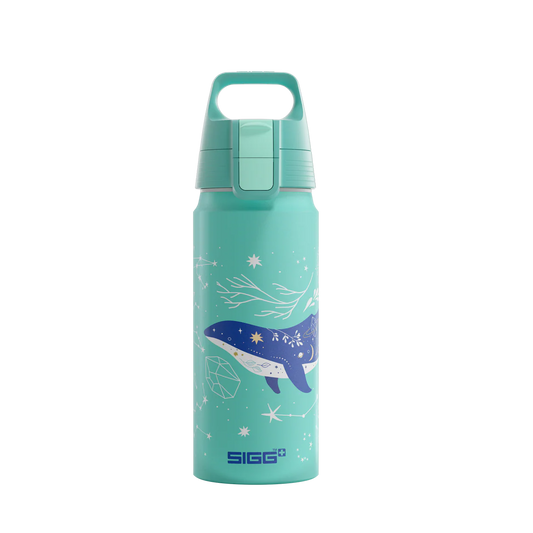 Sigg Aluminium Trinkflasche 0.6 Liter mit Wal Motiv und Meereswelt Print im Bärechind Winterthur Zürich Schweiz