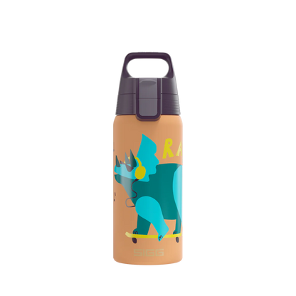 Sigg Edelstahl Trinkflasche 0.5L mit blauem Dinosaurier Motiv im Bärechind Winterthur Zürich Schweiz