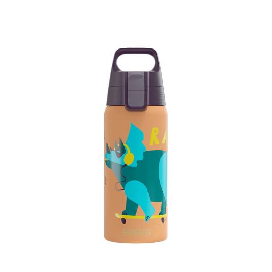 Sigg Edelstahl Trinkflasche 0.5L mit blauem Dinosaurier Motiv im Bärechind Winterthur Zürich Schweiz