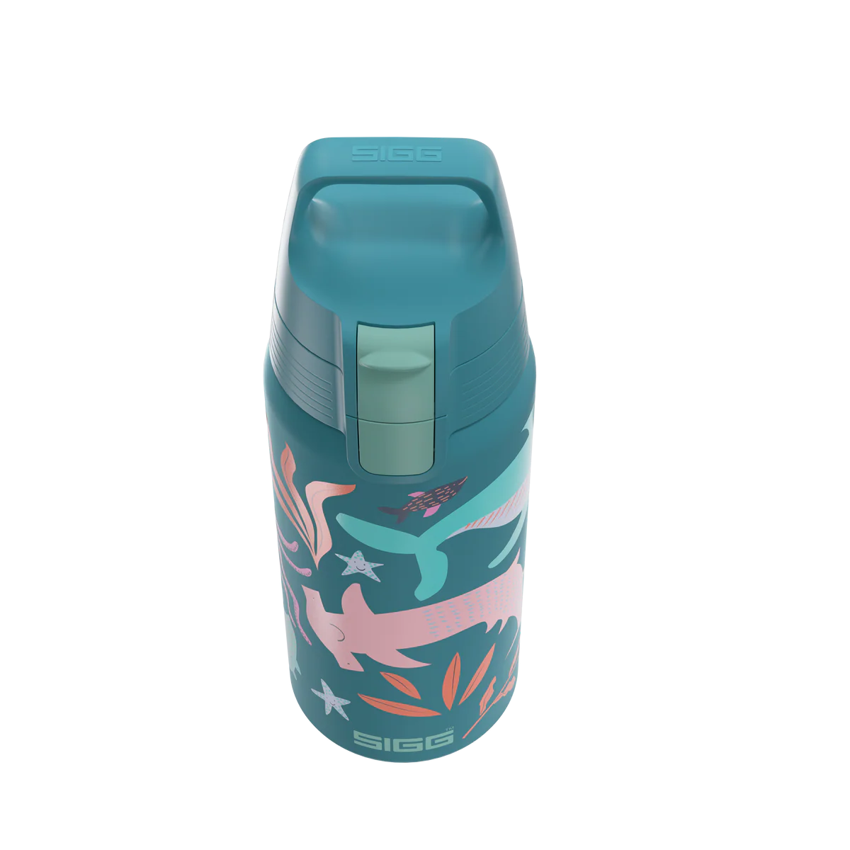Sigg Edelstahl Trinkflasche 0.5 Liter mit Meereswelt Motiv und Fischen im Bärechind Winterthur Zürich Schweiz