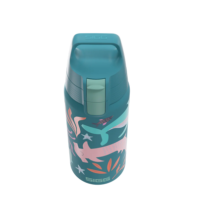 Sigg Edelstahl Trinkflasche 0.5 Liter mit Meereswelt Motiv und Fischen im Bärechind Winterthur Zürich Schweiz