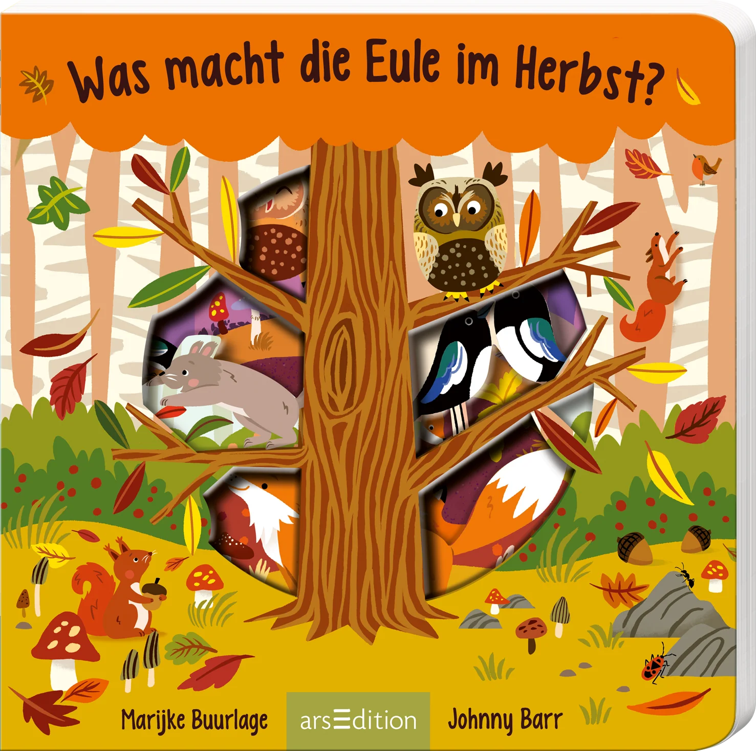 Was macht die Eule im Herbst, Pappbilderbuch mit Ausstanzungen von arsEdition bei Bärechind