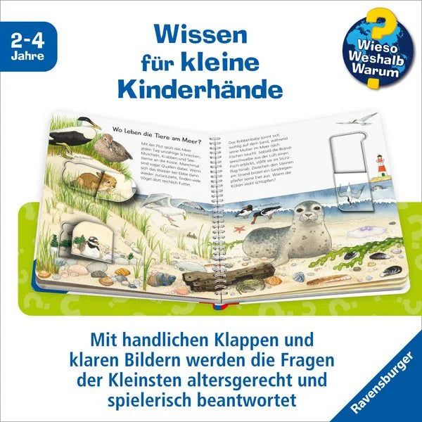 Einblick in das Buch Wieso? Weshalb? Warum? junior, Band 33 - Tiere bei uns von Patricia Mennen